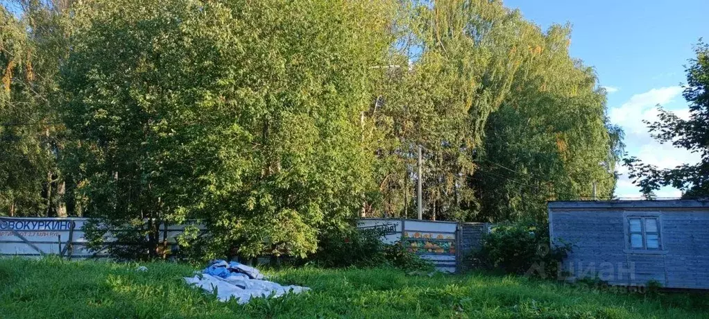 Участок, 12 сот., поселения (ижс) - Фото 2