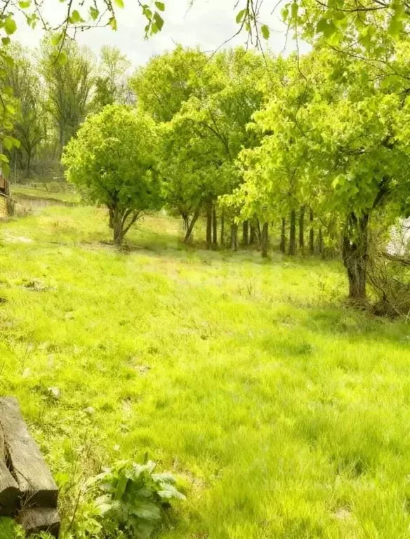 Участок в Краснодарский край, Геленджик городской округ, с. ... - Фото 1