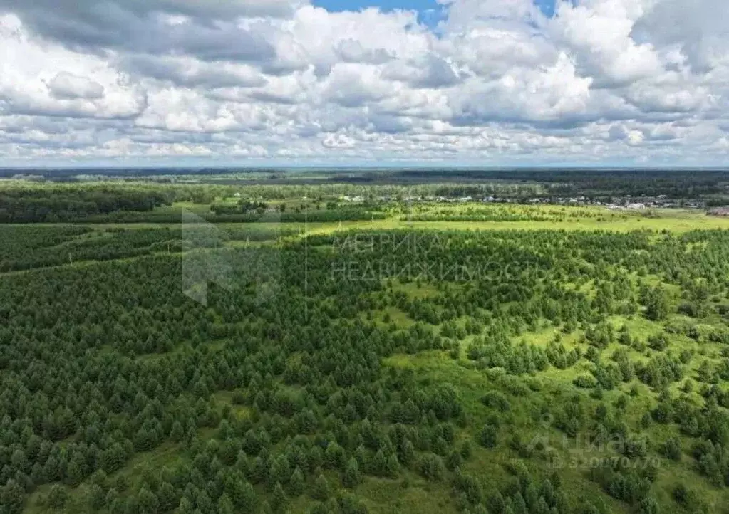Участок в Тюменская область, Тюменский район, Новокаменский кп  (12.0 ... - Фото 1