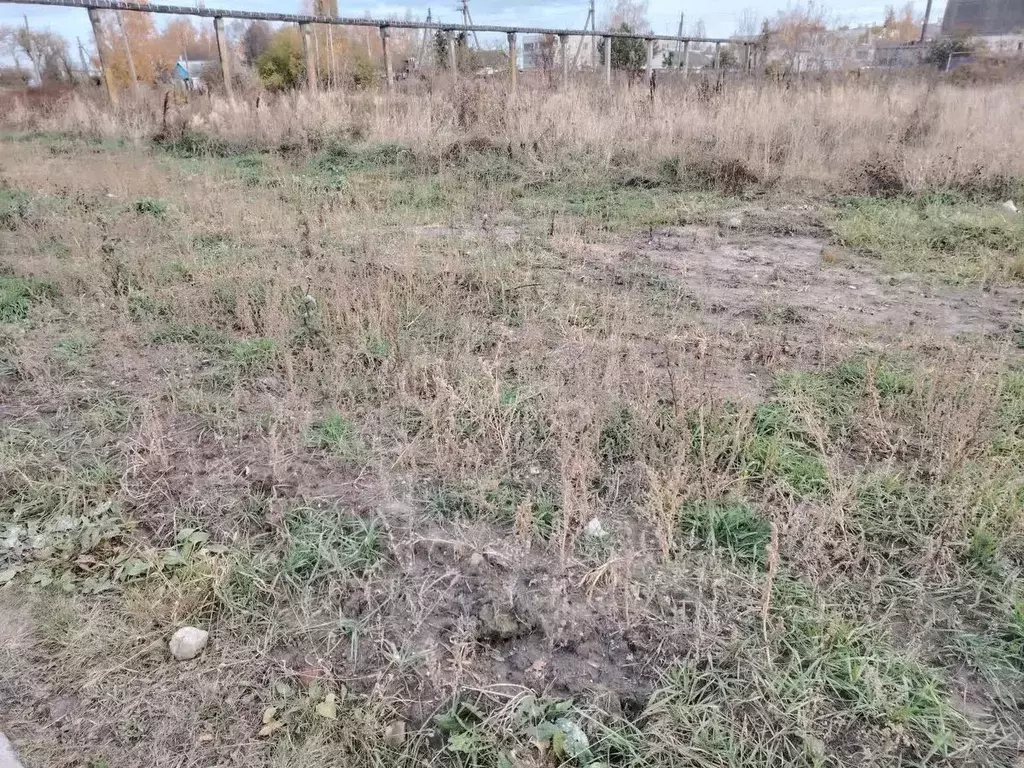 Участок в Орловская область, Орловский муниципальный округ, с. Лаврово ... - Фото 1