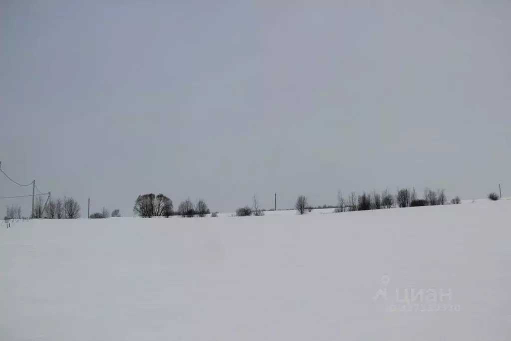 Участок в Московская область, Шаховская муниципальный округ, д. ... - Фото 2
