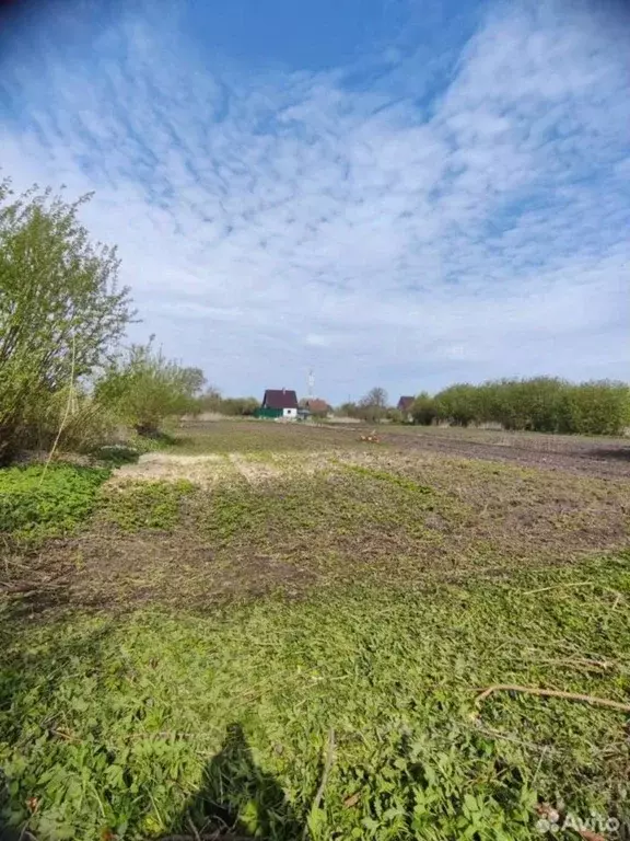 Участок в Калининградская область, Полесский муниципальный округ, пос. ... - Фото 2