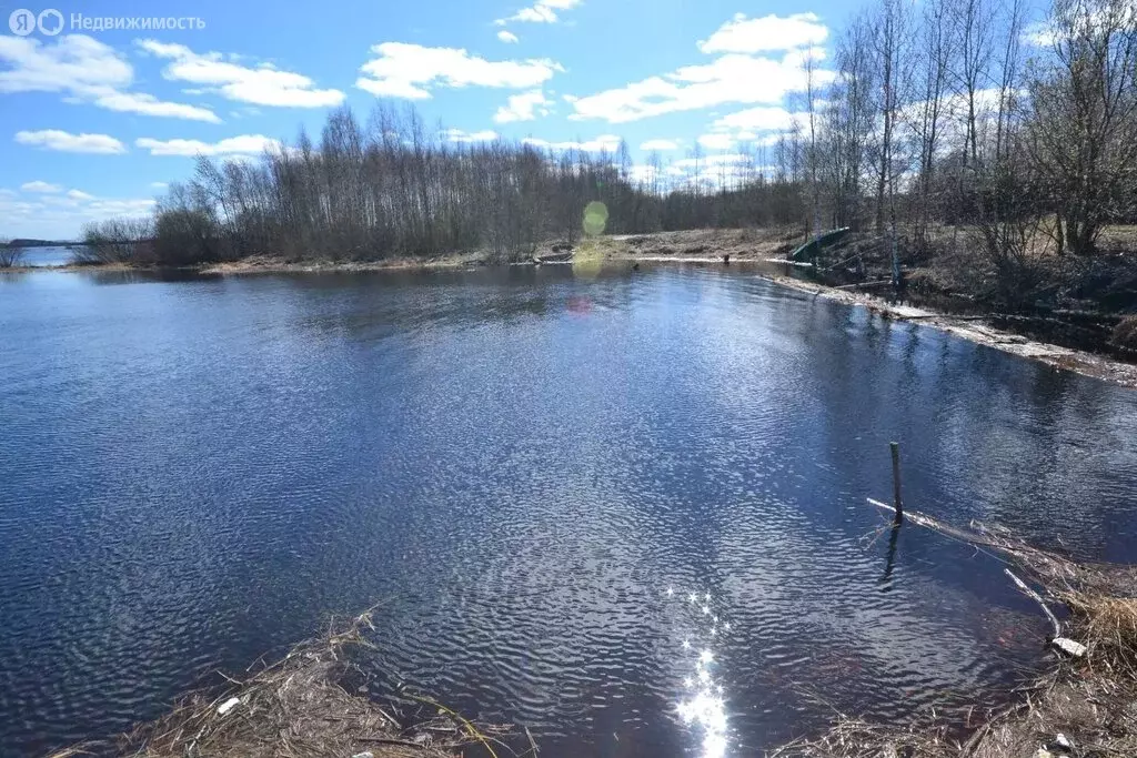 Участок в посёлок Суда, улица Гагарина (91 м) - Фото 0