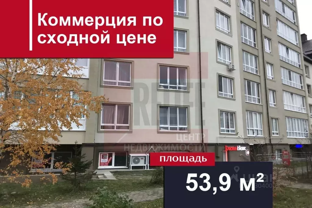 Помещение свободного назначения в Калининградская область, Гурьевский ... - Фото 1