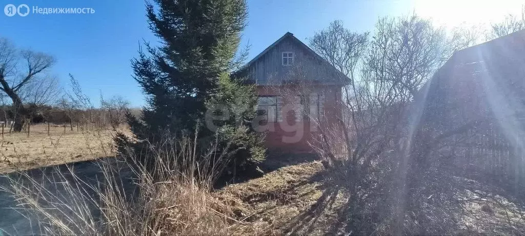 Дом в Ярославский муниципальный округ, деревня Когаево (24 м) - Фото 1