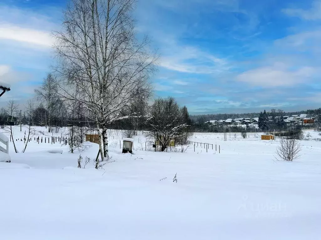 Участок в Московская область, Дмитровский муниципальный округ, Форест ... - Фото 2