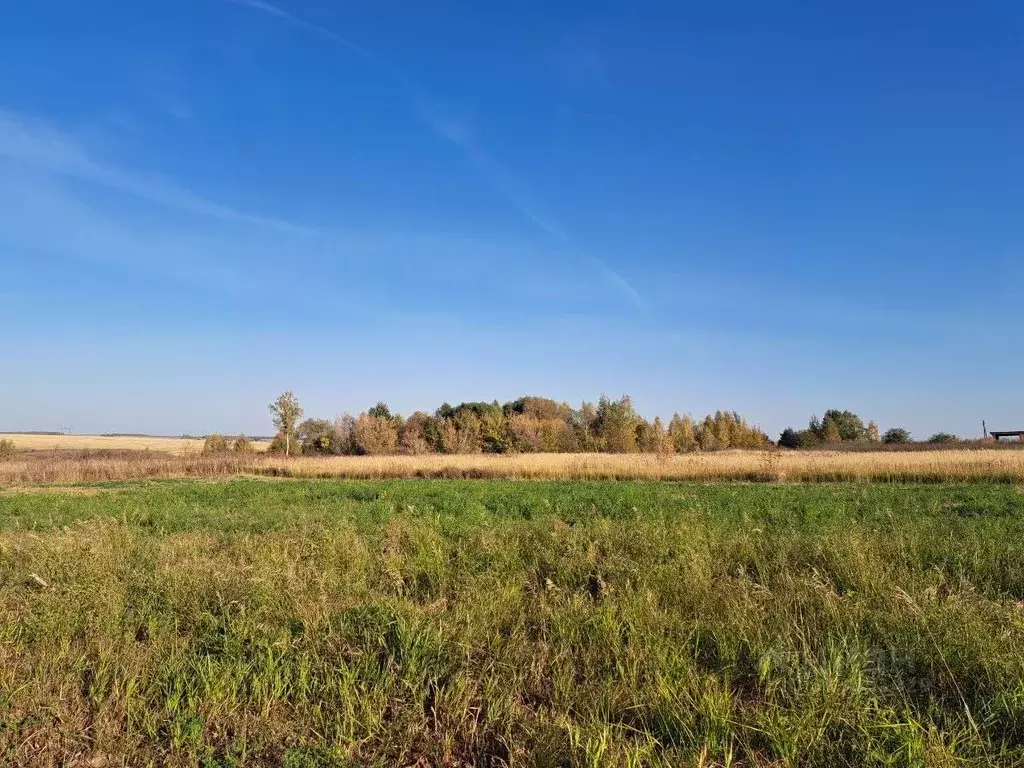 Участок в Московская область, Кашира городской округ, д. Никулино  ... - Фото 0