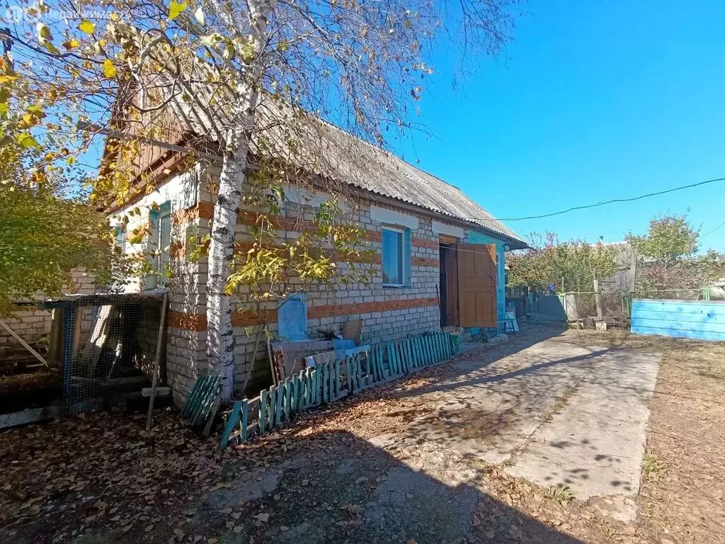 Дом в Лесозаводск, Зелёная улица, 32 (29.4 м) - Фото 2