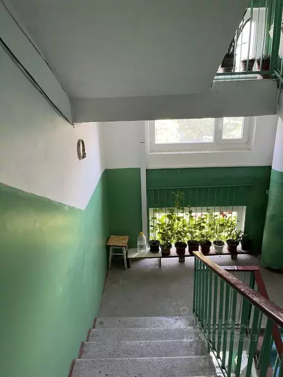 1-к кв. Крым, Ялта муниципальный округ, Виноградное пгт ул. Курчатова, ... - Фото 2