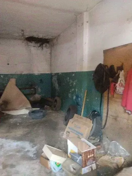 Помещение свободного назначения в Нижегородская область, Заволжье г. ... - Фото 0