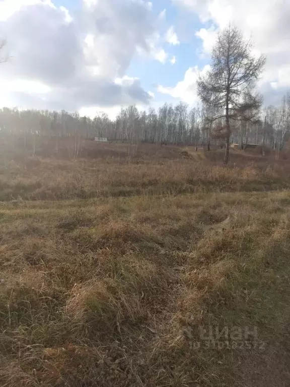 Участок в Красноярский край, Шарыповский муниципальный округ, с. ... - Фото 0