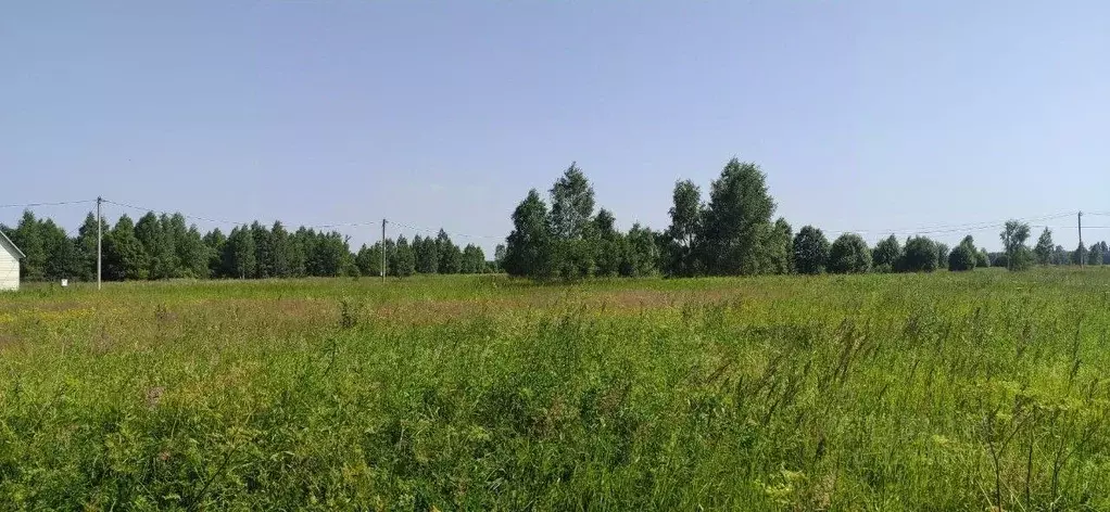 Участок в Московская область, Талдомский городской округ, д. ... - Фото 1