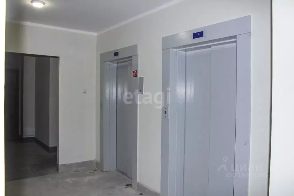 2-к кв. Калужская область, Калуга ул. Минская, 24 (58.9 м) - Фото 2