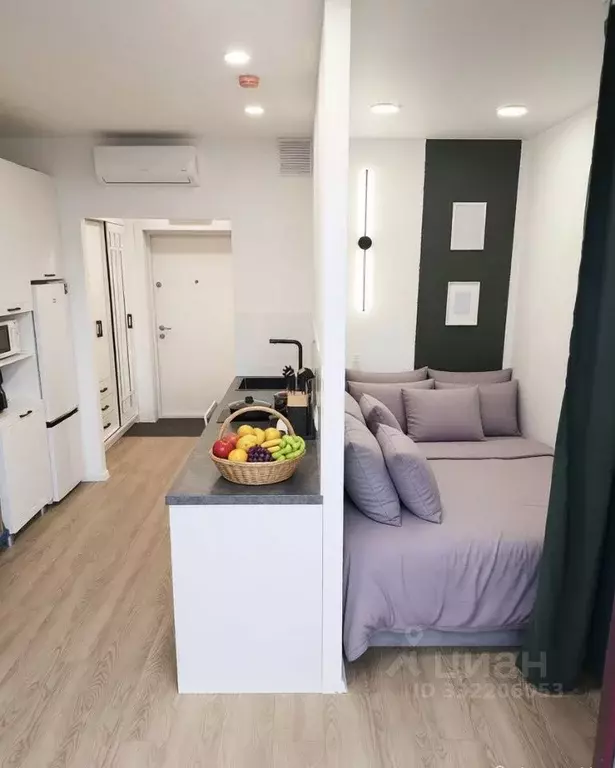 Студия Москва ул. Братьев Бромлей, 3 (25.0 м) - Фото 1