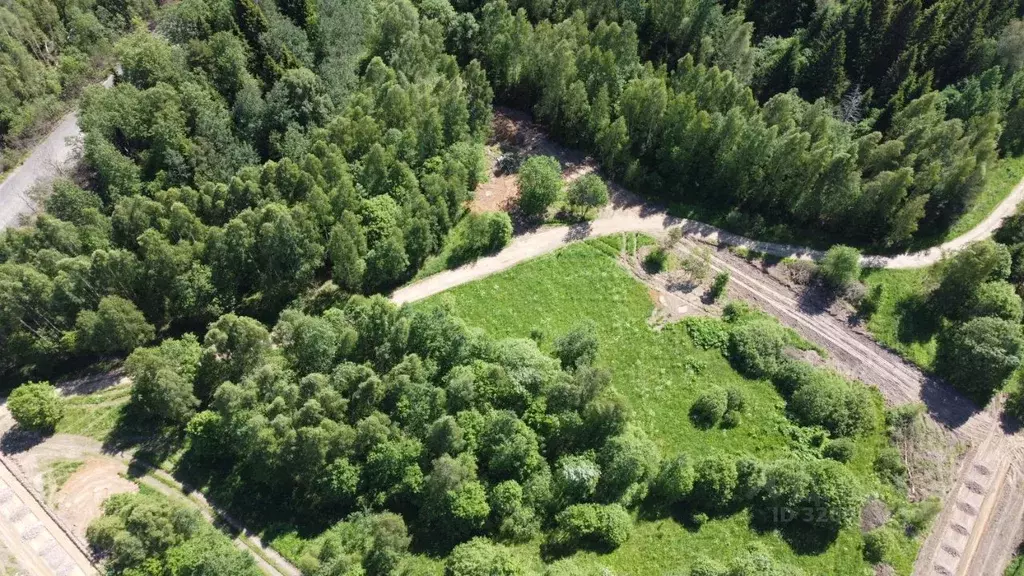 Участок в Московская область, Талдомский городской округ, д. ... - Фото 2