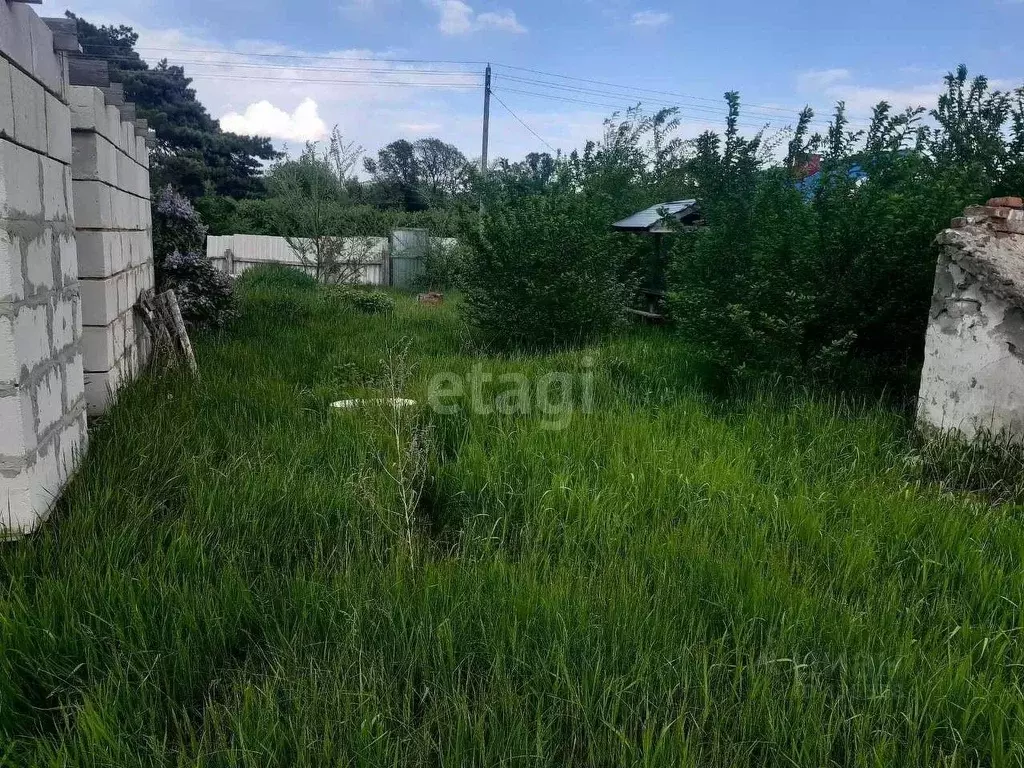 Участок в Белгородская область, Волоконовский район, Староивановское ... - Фото 0