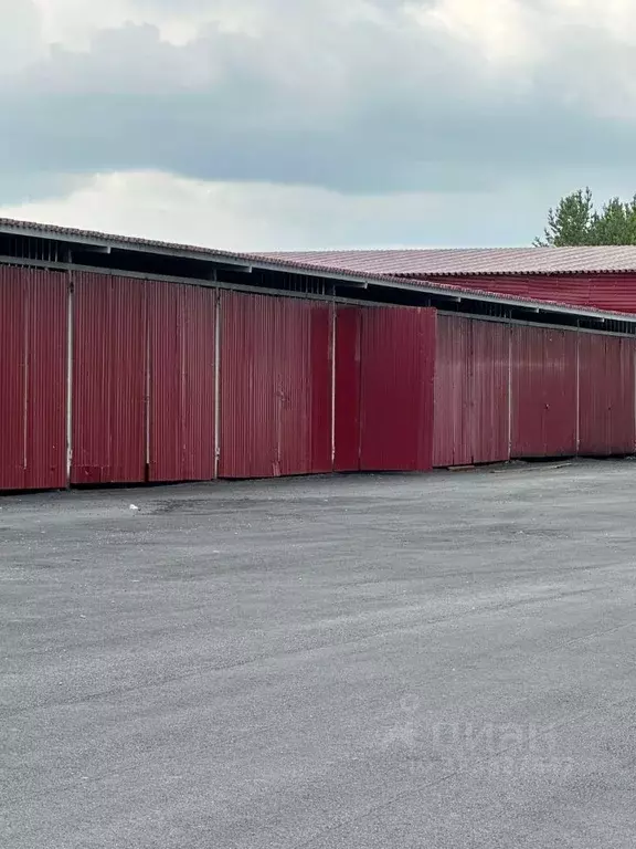 Склад в Свердловская область, Екатеринбург муниципальное образование, ... - Фото 1