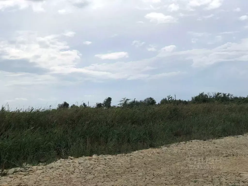 Участок в Краснодарский край, Темрюк Морская ул. (4.5 сот.) - Фото 1