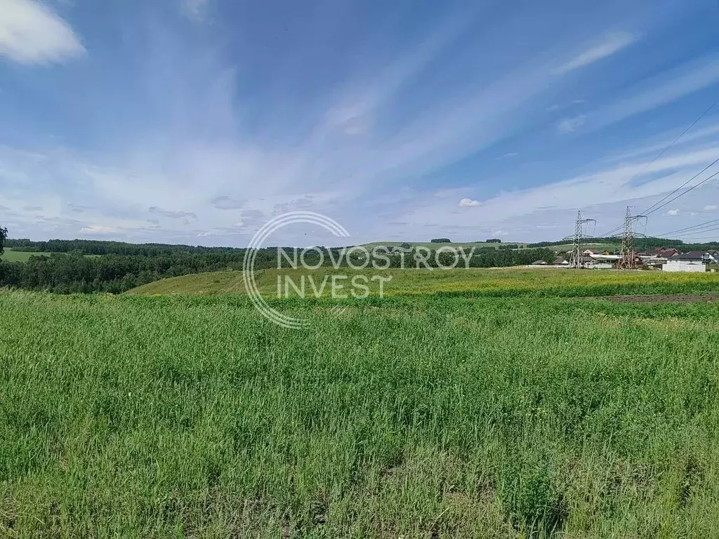 Участок в Красноярский край, Емельяновский район, с. Шуваево ул. 40 ... - Фото 1