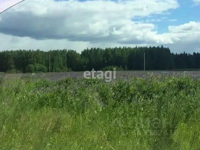 Участок в Кировская область, Киров городской округ, д. Эсауловы  (15.0 ... - Фото 1