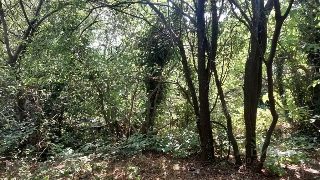 Участок в Крым, Ялта ул. Дмитрия Ульянова, 67 (10.0 сот.) - Фото 1