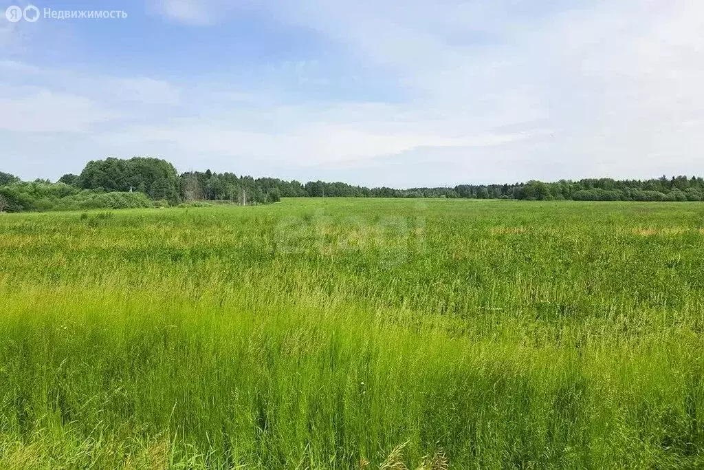 Участок в Ставропольский край, Предгорный муниципальный округ, садовые ... - Фото 2