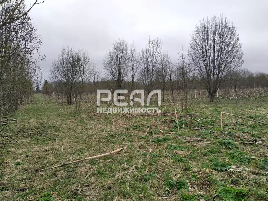 Участок в Волосовский район, Большеврудское сельское поселение, ... - Фото 1