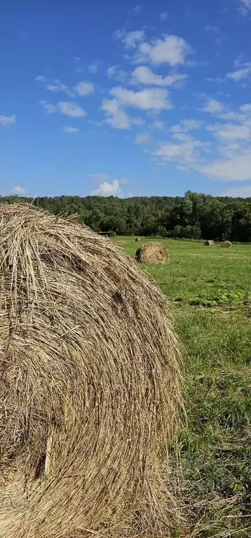 Участок в Московская область, Клин городской округ, д. Струбково  (9.0 ... - Фото 0