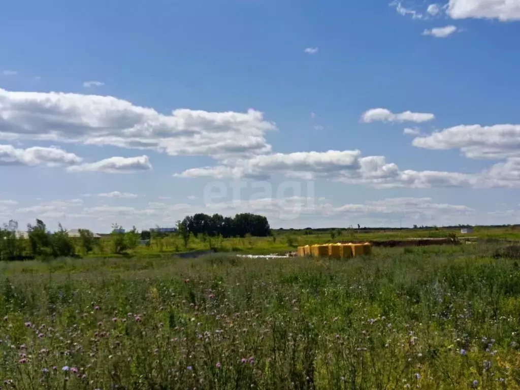 Участок в Самарская область, Волжский район, Смышляевка городское ... - Фото 0