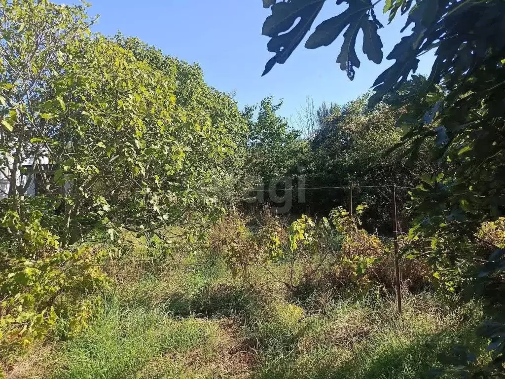 Участок в Крым, Феодосия муниципальный округ, Щебетовка пгт ул. Ленина ... - Фото 2