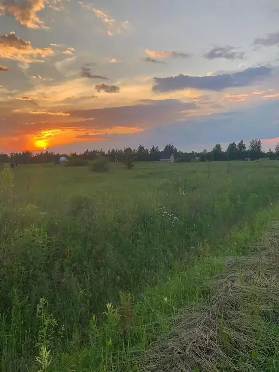 Участок в Московская область, Раменский муниципальный округ, ... - Фото 2