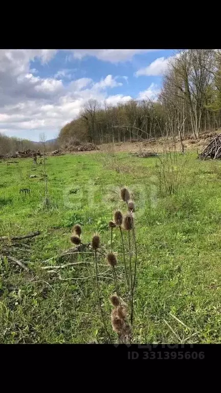 Участок в Краснодарский край, Геленджик городской округ, с. Адербиевка ... - Фото 1