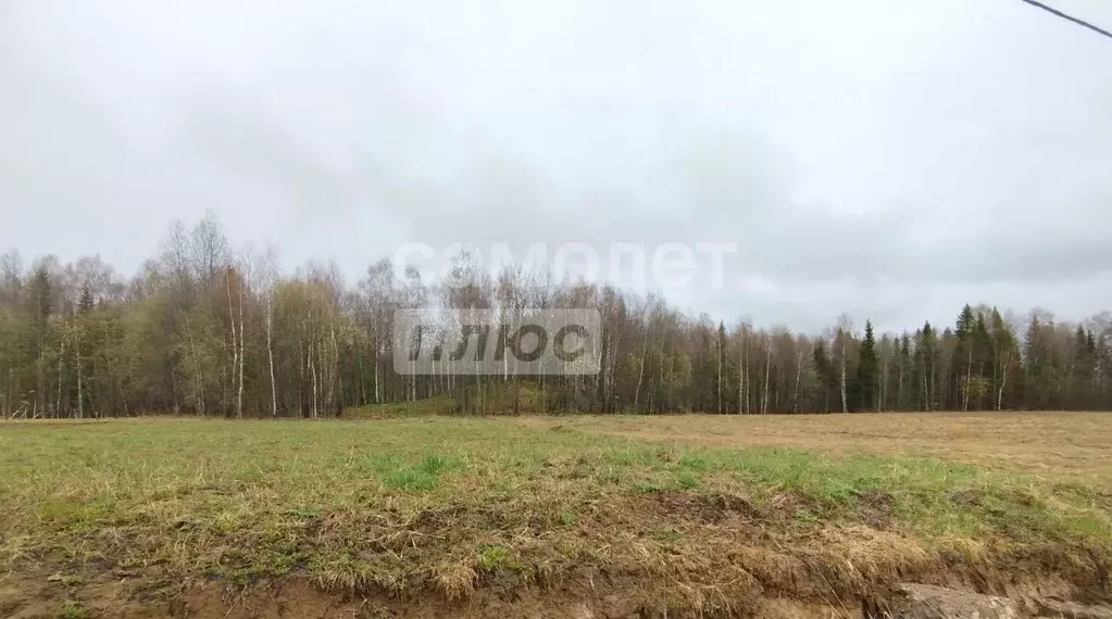 Участок в Коми, Сыктывдинский район, с. Выльгорт  (8.53 сот.) - Фото 1