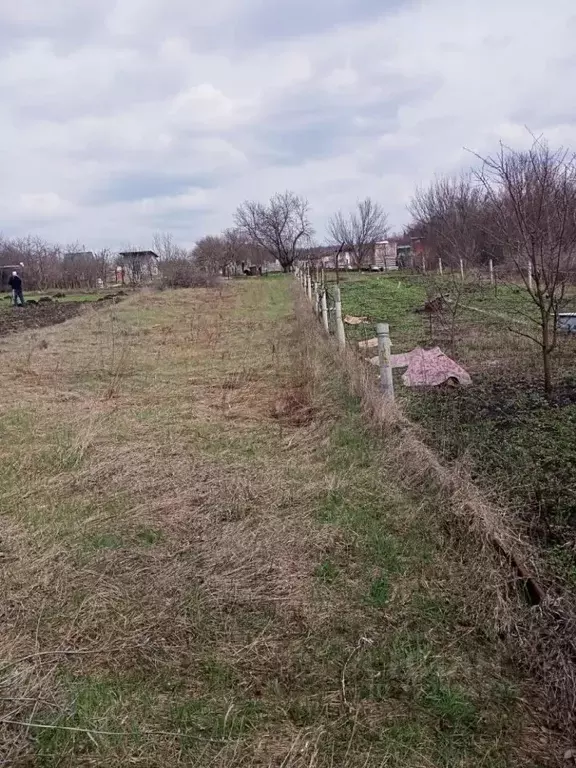 Участок в Белгородская область, Белгородский район, Никольское с/пос, ... - Фото 0