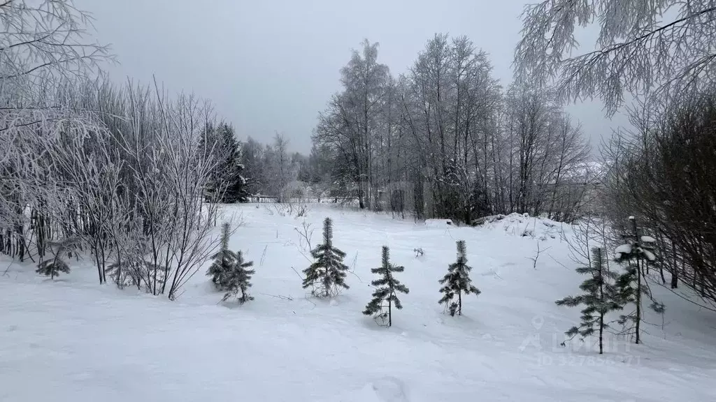 Участок в Ленинградская область, Киришский район, Будогощское ... - Фото 1
