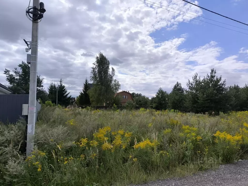 Участок в Московская область, Раменский муниципальный округ, с. Речицы ... - Фото 1