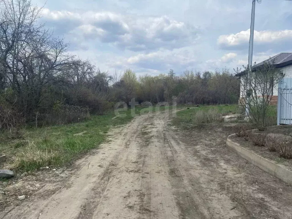 Участок в Белгородская область, Губкин Горняк-Мичуринец СТ, 1536 (6.7 ... - Фото 1