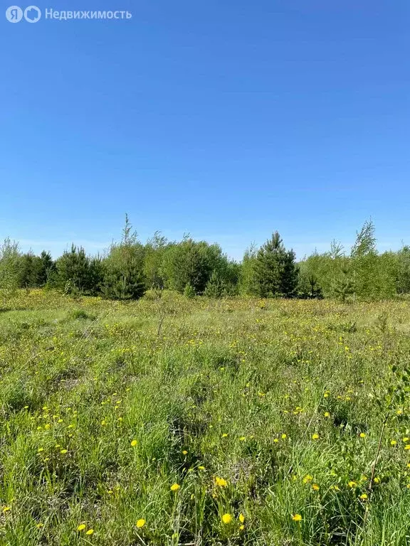 Участок в муниципальное образование Киров, деревня Эсауловы (14.54 м) - Фото 0