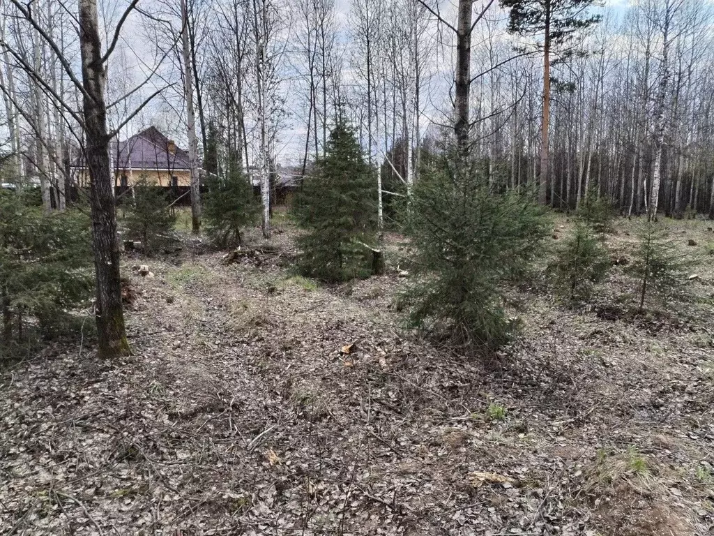 Участок в Свердловская область, Екатеринбург ул. Мустая Карима (5.0 ... - Фото 0