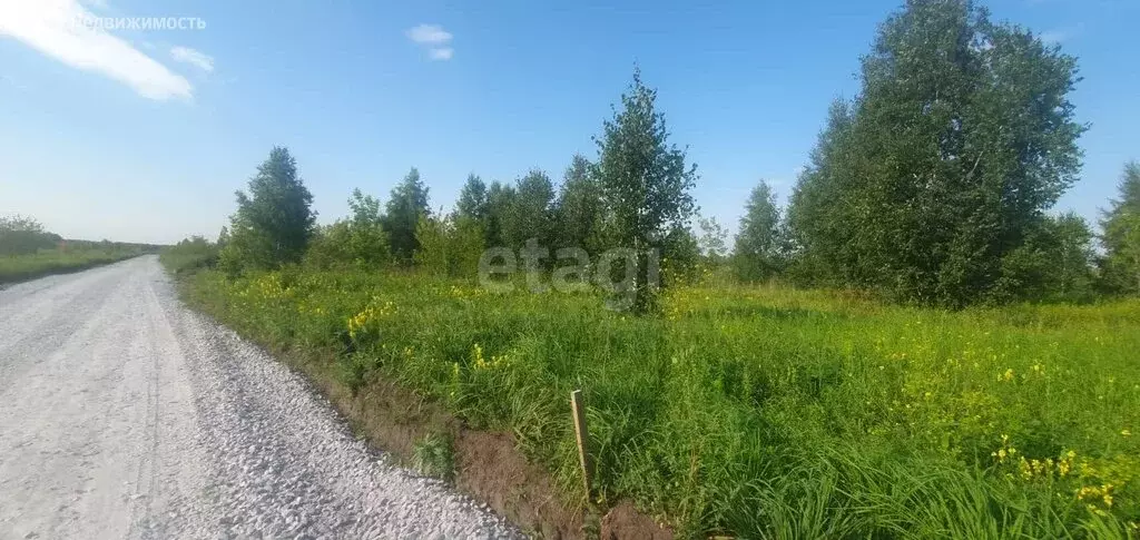 Участок в Искитимский район, Степной сельсовет, посёлок Раздольный (6 ... - Фото 0