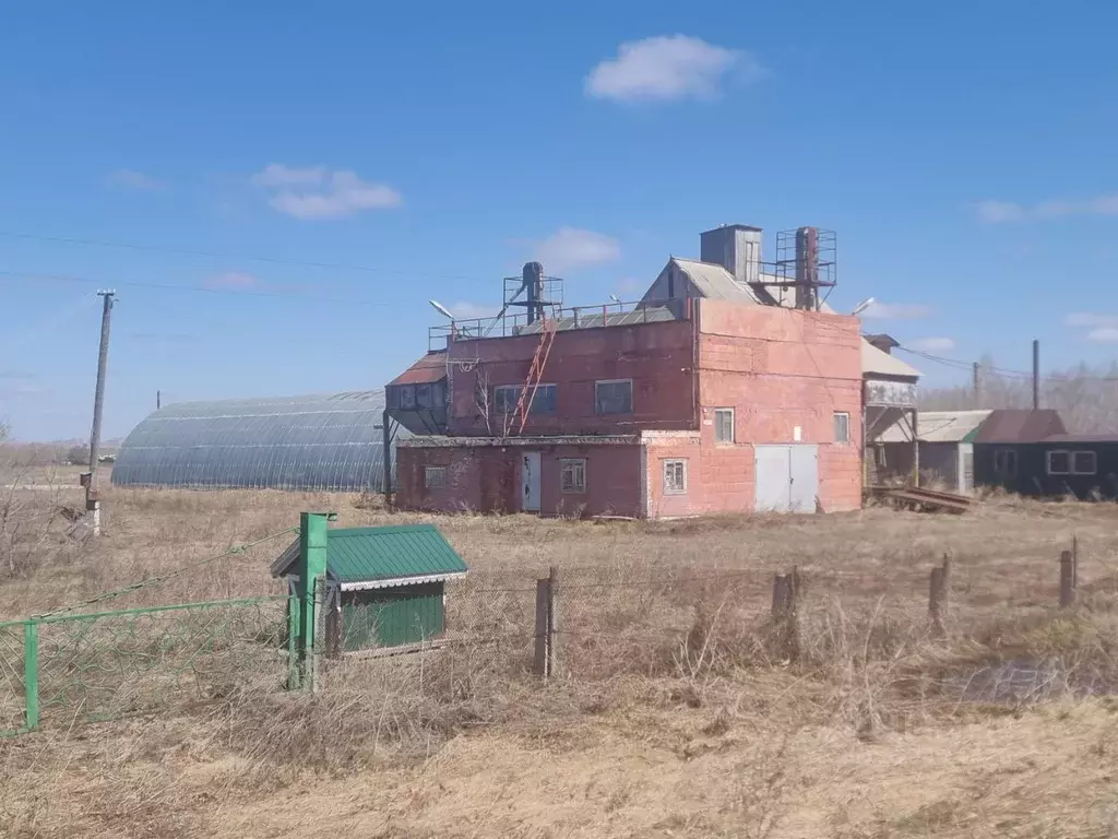 Помещение свободного назначения в Омская область, Таврический район, ... - Фото 1