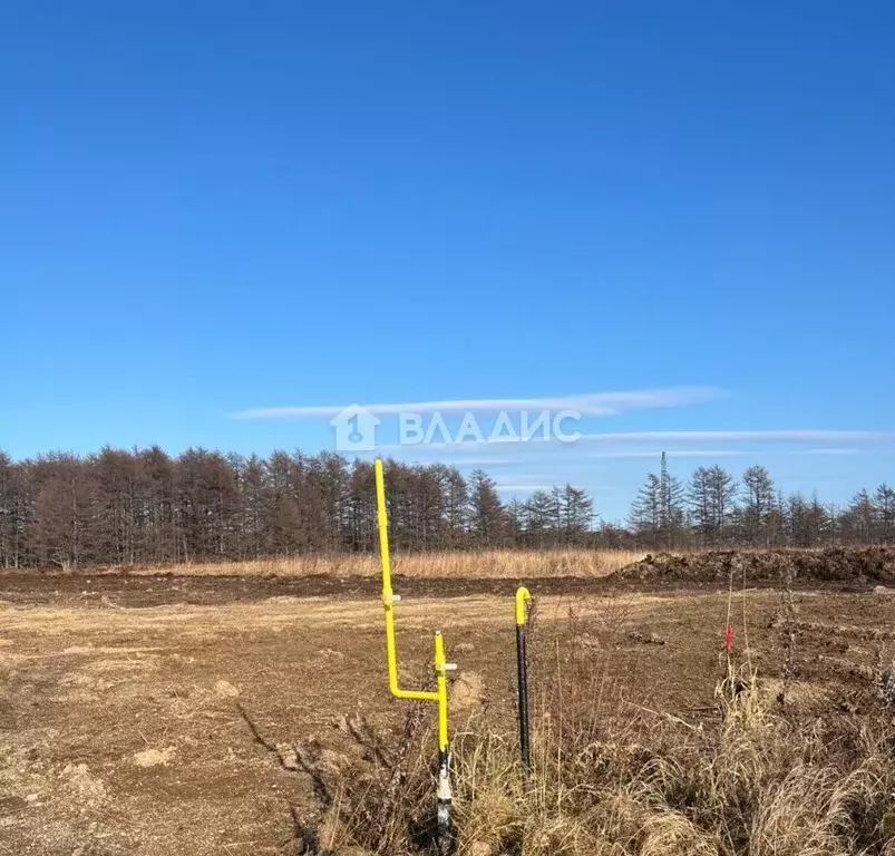 Участок в Сахалинская область, Анивский городской округ, с. Мицулевка ... - Фото 0