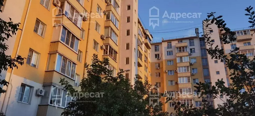 1-к кв. Волгоградская область, Волгоград Электролесовская ул., 86 ... - Фото 2