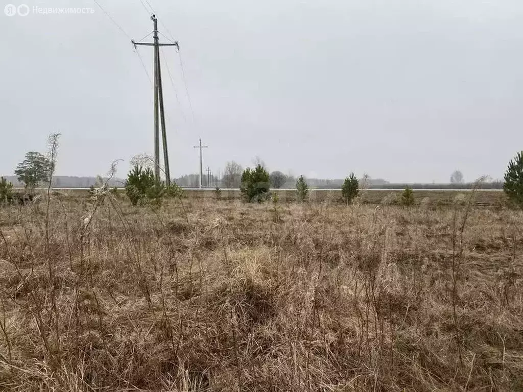 Участок в село Нижняя Тавда, улица Бориса Щербины (15.7 м) - Фото 1