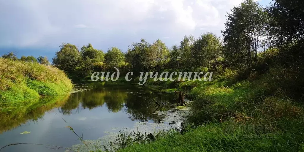 Участок в Тверская область, Конаковский муниципальный округ, д. ... - Фото 1