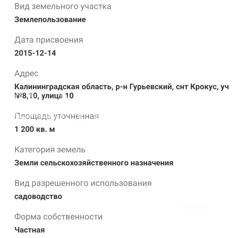 Участок в Калининградская область, Гурьевский муниципальный округ, ... - Фото 1