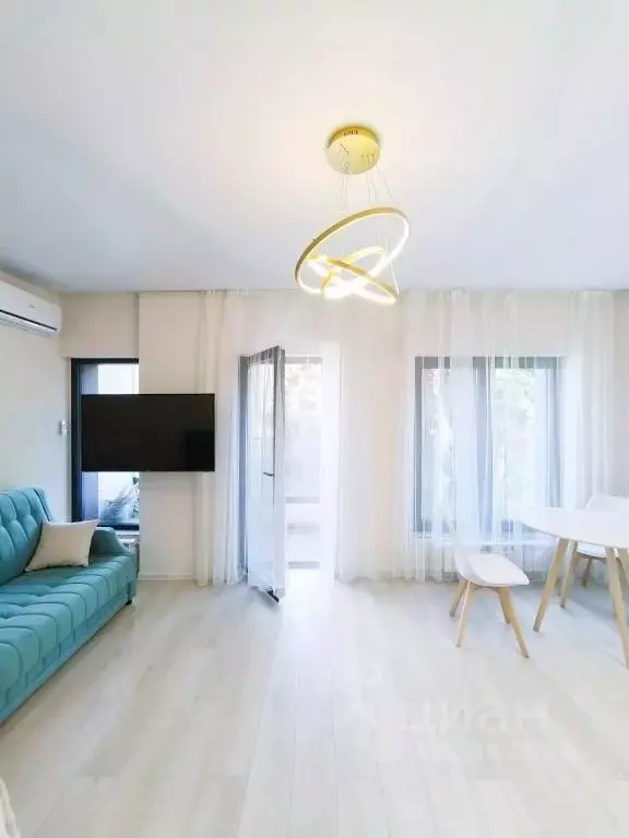 1-к кв. Краснодарский край, Сочи Курортный просп., 94/60 (30.0 м) - Фото 2