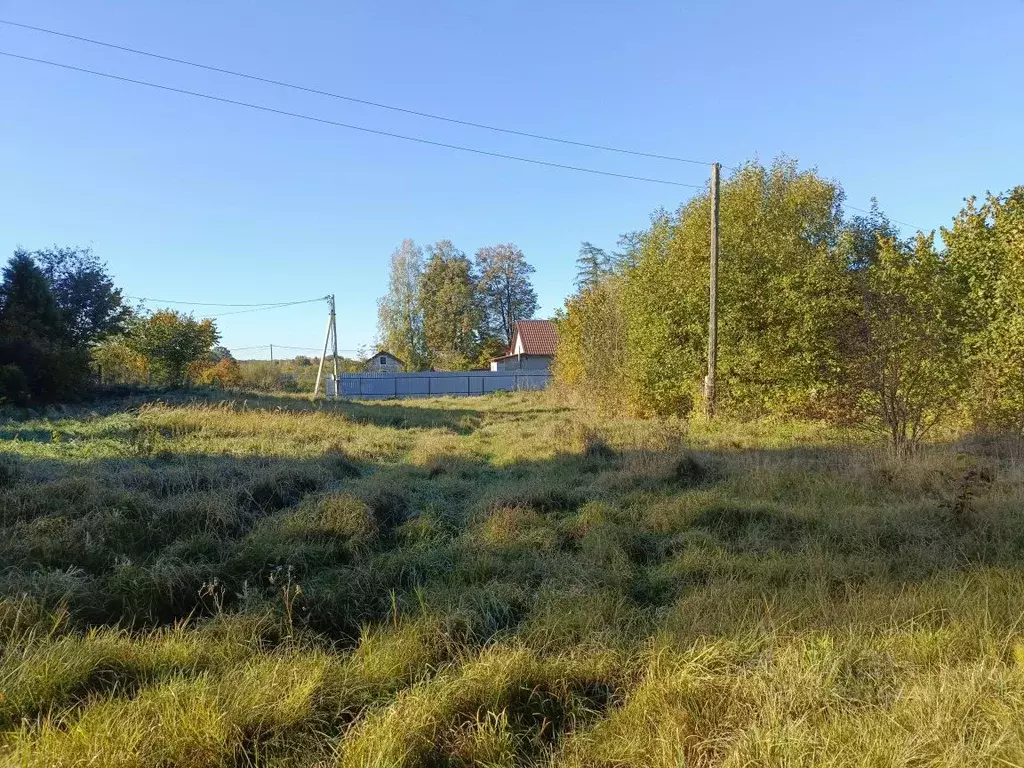 Участок в Калининградская область, Гурьевский муниципальный округ, ... - Фото 1