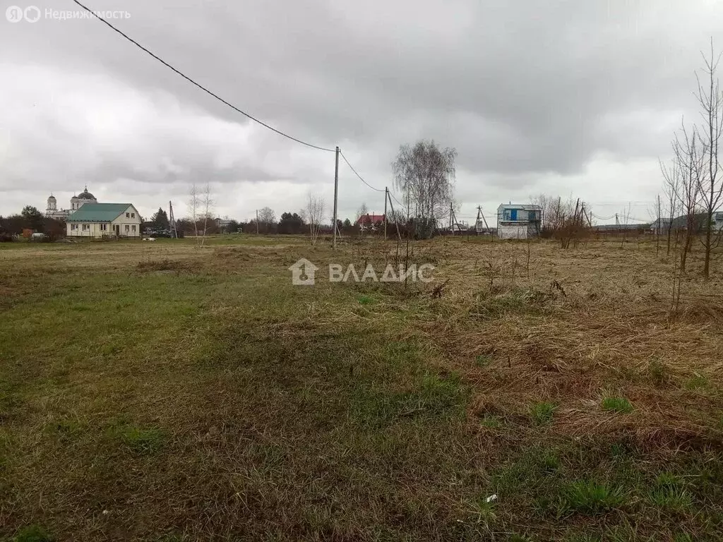 Участок в Московская область, городской округ Коломна, село Шкинь (18 ... - Фото 1