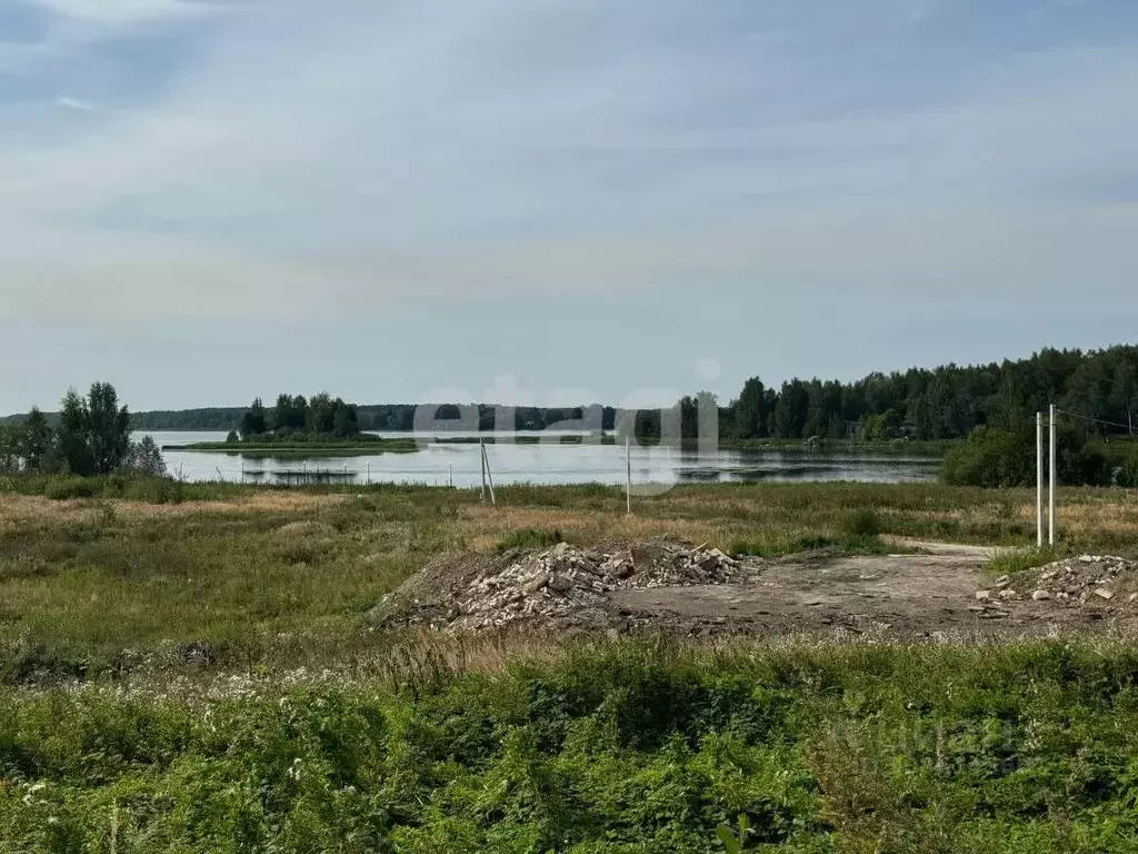 Участок в Костромская область, Красносельский район, Боровиковское ... - Фото 0